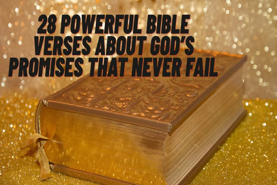 10 Promises of God With Bible Verses